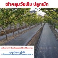 ผ้าคลุมหญ้า (ผสมสารป้องกัน UV)1×50 เมตร  ผ้าคลุมดิน ผ้าคลุมวัชพืช  พลาสติกคลุมดิน ผ้าพลาสติกคลุมวัชพืช