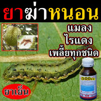 ?สูตรเข้มข้น?สารกำจัดเพลี้ย ยาเพลี้ยไฟ 500 ซีซี เพลี้ยแป้งที่ราก เพลี้ยแป้งญี่ปุ่น เพลี้ยหอย เพลี้ยจั๊กจั่น ยาฆ่าเพลี้ยผัก ไรแดง