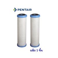 PENTAIR รุ่น EPM-10 CART PACK 2 PCS : ไส้กรอง Carbon Block สำหรับกรองน้ำดื่ม RO แพ็ค 2 ชิ้น