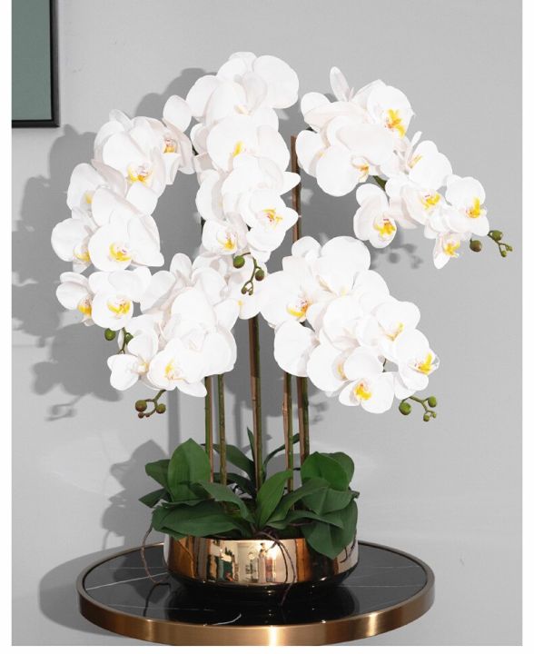 1-set-high-grade-orchids-arrangement-latex-silicon-real-touch-big-size-luxury-table-flower-home-hotel-decor-no-vase