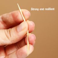 Bamboo Toothpicks Oral Wooden Tooth Pick Care牙签