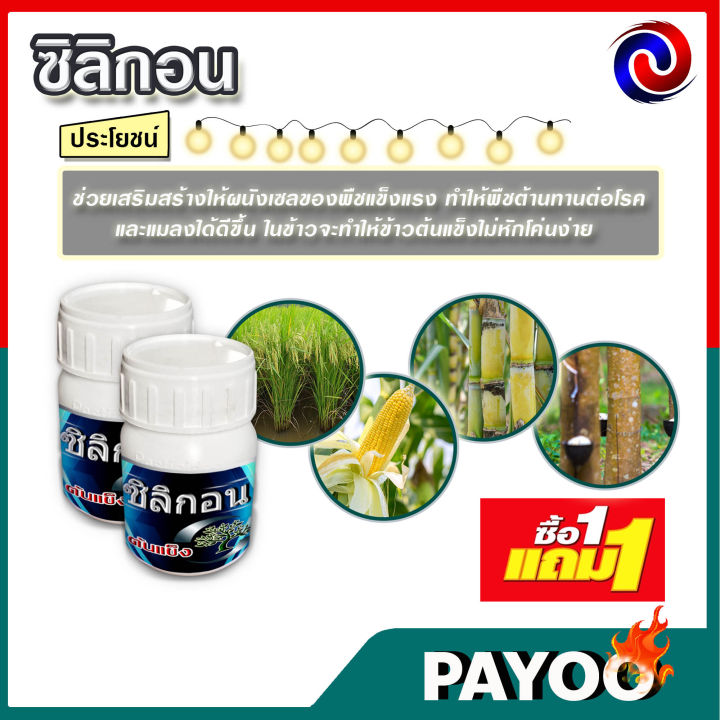 ซิลิกอน-100-ซี-ซี-ซื้อ1แถม1-ปุ๋ยน้ำ-อาหารเสริมพืช-ฮอร์โมนพืช