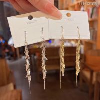 ? เครื่องประดับ Live hot style long tassels grain earrings female S925 silver needle light much delicate web celebrity with stud earrings earrings product