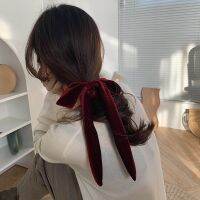 2023 Hot Selling Pleated Bow Tie Womens Hair Loop French Vintage Velvet Solid Color Ultra Long Tassel Headband Hair Accessories