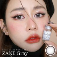 คอนแทคเลนส์ Zane Brown / Gray (Lovelysoft) ขนาดมินิ ? เนียน เท่าตา ธรรมชาติ