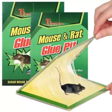 Shop Japan Sticky Large Mouse Trap with great discounts and prices online -  Nov 2023