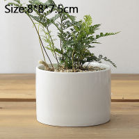 European Minimalist White Round Succulent Flower Pot Classic Ceramic Desktop Green Plant Pot Home Balcony Creative Gardening