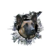 3D Belgian malinois Decal Glas Dogs Slag Reflective Car Stickers Window Waterproof Styling Decals 13cm*12.2cm Bumper Stickers Decals  Magnets