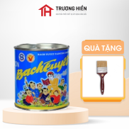 Sơn sắt,sơn cửa Bạch Tuyết