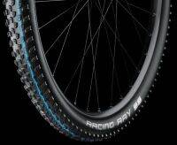 ยางเสือภูเขาตัวท๊อป SCHWALBE RACING RAY Addix SpeedGrip Compound (เเถบฟ้า) ขนาด 29x2.1 และ 2.25