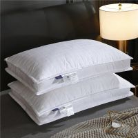 Sleeping Comfort five-star Hotel Cotton Shell Pillow Pillow is also suitable for home bedroom 48 * 74cm/only Pillows  Bolsters