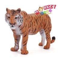 Monkey Toys - โมเดลสัตว์ Tiger เสือโคร่ง ขนาด 22.00 CM (จากหาดใหญ่)