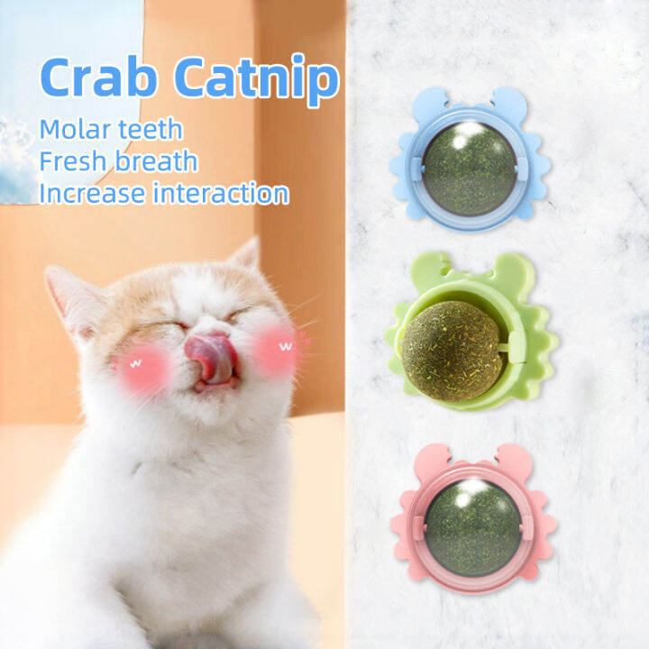 Catnip cat mint ball cat snack treats toy ball | Lazada PH