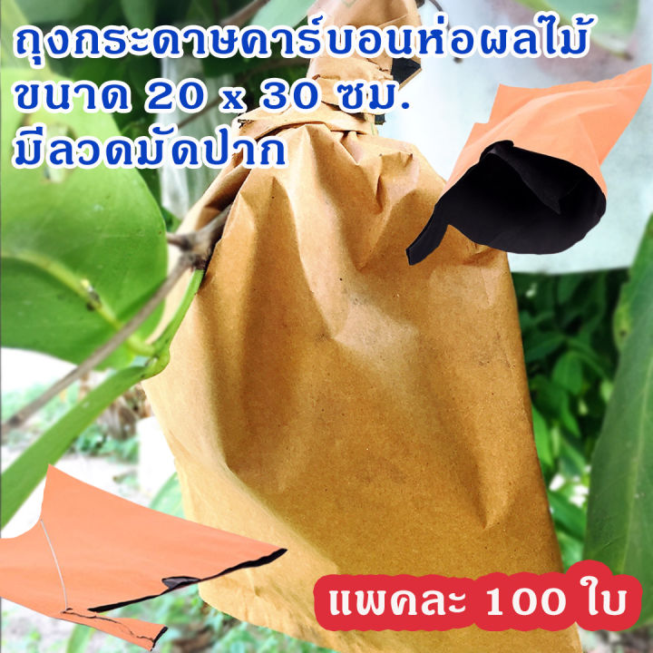 ถุงกระดาษคาร์บอนห่อผลไม้-ขนาด-20-x-30-ซม-แพคละ-100-ใบ-ราคา-300-บาท