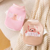 Pet Turtleneck Sweater Korean Version Fake Two-piece Dog Clothes Autumn and Winter Warm Pullover Cartoon Bear Print Puppy Clothe Clothing Shoes Access