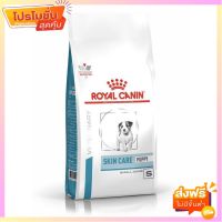 Royal Canin Skin Care Puppy Small Dog อาหารสุนัขผิวแพ้ง่าย สำหรับสุนัขพันธุ์เล็กอายุ 2-10 เดือน ขนาด 2 กก.