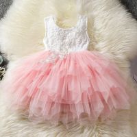 Baby Girl Cotton Dress Lace Princess Wedding Birthday Kids Clothes Casual Wear