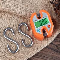 C100 150kg Portable Digital Electronic Fishing Hanging Weighing Scale Balance Luggage Scales