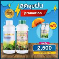 เอฟอช 1ลิตร + ปุ๋ยน้ำแกรมม่าทู 1ลิตร แถมฟรี เอฟอช 100 CC. 2 ขวด ปุ๋ยน้ำสูตรบำรุงต้น ปุ๋ยน้ำเร่งการเจริญเติบโต ต้นแข็งแรง