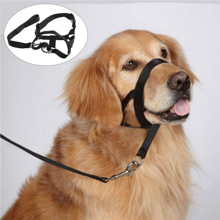 leader-training-gentle-collar-head-halter-dog-dogalter