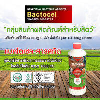 BACTOCEL สารสกัดชีวภาพ 1 ขวด 1000CC * ต่อต้าน โรคลัมปีสกิน สมานแผลโรค สำหรับฟาร์ม วัว ป้องกันโรคในสัตว์ จุลินทรีย์สัตว์ รักษาโรคในสัตว์