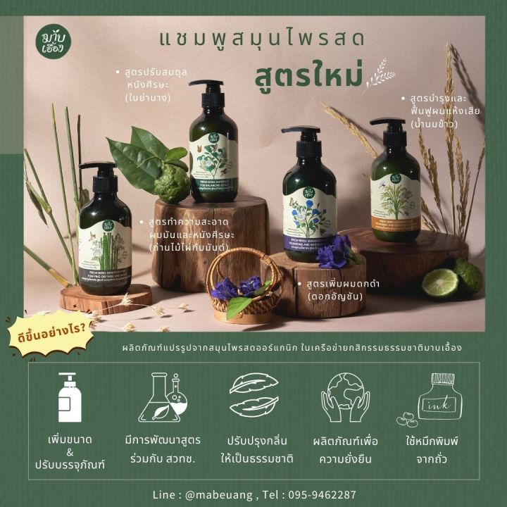 แชมพูสมุนไพรสด-สูตรเพิ่มผมดกดำ-fresh-herbs-shampoo-for-volumizing-and-hair-darkening-แชมพูอัญชัน-แชมพูบำรุงผมดกดำ-มาบเอื้อง