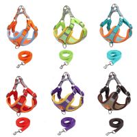 Dog Harnesses Pet Chest Strap Vest Type Dog Strap Small Dog Rope Reflective Dog Traction Rope Dog Accessories for Small Dogs