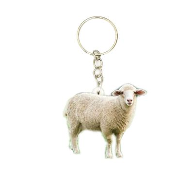 White Sheep Acrylic Keychain Flying Wing Keyring Pendants Gift Best Friend Chain Accessories Keyring Men Toy mass effect women Key Chains