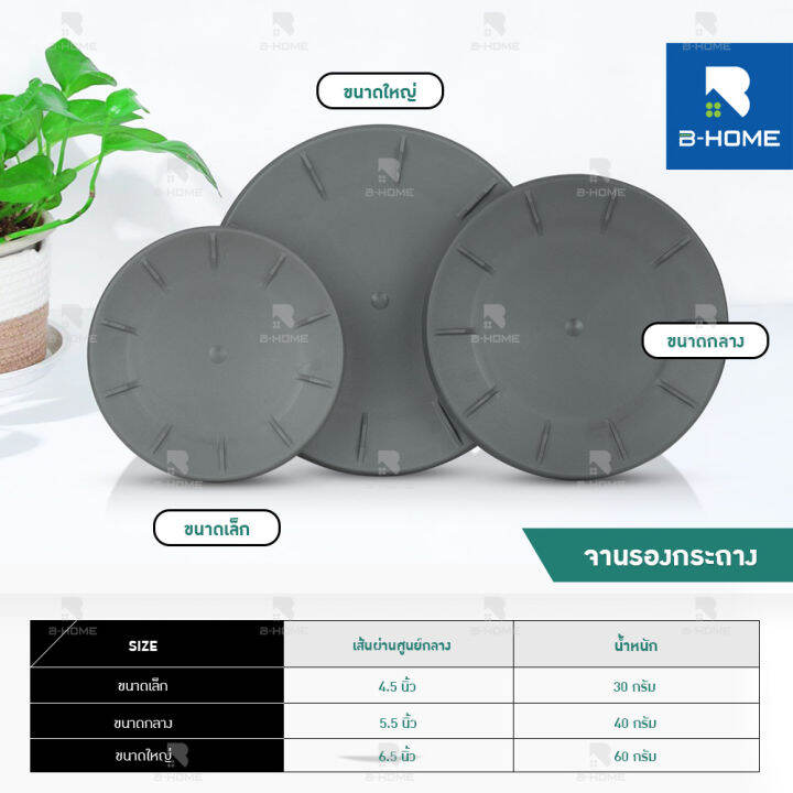 กระถางต้นไม้-ลายหินดำ-b-home-กระถางมินิมอล-กระถางต้นไม้-minimal-กระถางต้นไม้-จานรองกระถาง-กระถางต้มไม้พลาสติก-ขนาด-5-6-6-5-นิ้ว-กระถางสวยงาม-plant-pot-ของแต่งบ้าน-มินิมอล-วัสดุแข็งแรง-น้ำหนักเบา-เคลื่