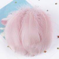 100pcs/pack Feathers Float Plumes Dyed Leather pink Feather for Gifts Decoration Accessory