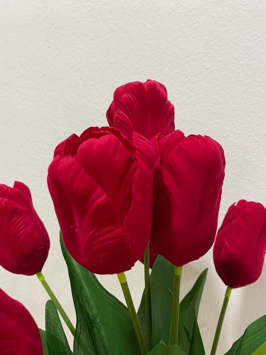 ช่อทิวลิปบูก้าผ้ากำมะหยี่สีแดง 1ช่อมี 10ดอก [สูง43 ซม.] | Lazada.Co.Th