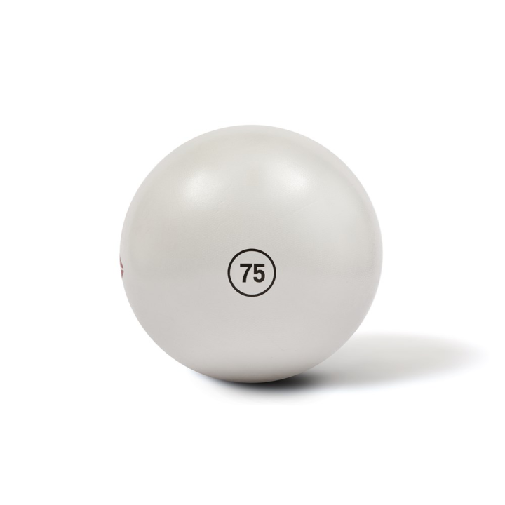 Reebok discount yoga ball