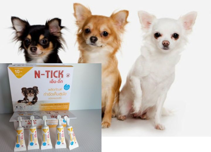 n-tick-หยอดฆ่าเห็บหมัดและไข่บนสุนัข-ขนาด-2-10-kg-หลอดสีเหลือง-ทะเบียน-วอส-เลขที่-583-2560