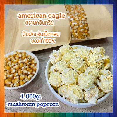 ข้าวโพดเม็ดกลม เมล็ดข้าวโพดpopcorn mushroompopcorn ข้าวโพดมัชรูม ป๊อบคอร์นมัชรูม เมล็ดข้าวโพดมัชรูม ขนาด 1,000 กรัม