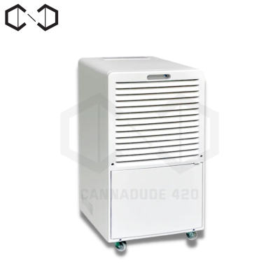 เครื่องลดความชื้น เครื่องดูดความชื้น 38L/D Home Dehumidifier with 40%-80%Rh Adjusted Humidity เครื่องดูดความชื้นห้อง