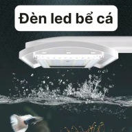 Đèn Jeneca dùng trong bể cá D13 thumbnail