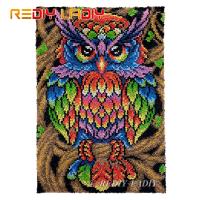 Latch Hook Rug Rainbow Owl Chunky Yarn Tapestry Kits DIY Carpet Rug Knitted Floor Mat Crochet Cushion Arts &amp; Crafts 58*85cm