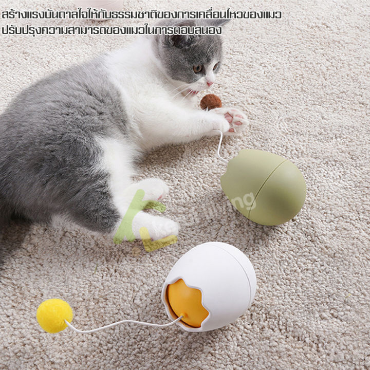ทาสแมวมาแล้วว-เปลือกไข่ล้มลุก-ของเล่นแมว-รูปไข่-egg-shell-ไข่แมว-ของเล่นคลายเครียดแมว-ฝึกทักษะแมว-ของเล่นรูปไข่สำหรับแมว-ของเล่นสัตว์เลี้ยง-ลูกบอลสำหรับเเมว-หมุนได้ทั้งวัน-สนุกได้ทั้งคืน-แบบใช้ถ่าน-เพ