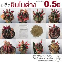 ( Promotion+++) คุ้มที่สุด ☀️ เมล็ดยิมโนด่าง Gymnocalycium เมล็ดเพชร แคคตัส เริ่มต้นเมล็ดละ 0.5  ☀️ ราคาดี พรรณ ไม้ น้ำ พรรณ ไม้ ทุก ชนิด พรรณ ไม้ น้ำ สวยงาม พรรณ ไม้ มงคล