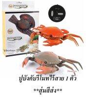 Leadingstar โมเดลปูจําลอง พร้อมรีโมตคอนโทรล ของเล่นเสริมการเรียนรู้ สําหรับเด็ก