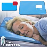 Comfortable Summer Cool Therapy Help Sleeping Aid Pad Mat Muscle Relief Cooling Gel Pillow Ice Pad Massager Water Pillows Travel pillows