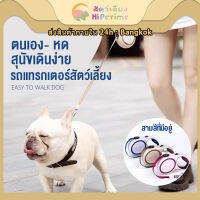 ?สินค้าอยู่ในไทย พร้อมส่ง?สายจูงสัตว์เลี้ยงระดับพรีเมี่ยม สายจูงสุนัข ยาว 3ม/5ม ปรับขนาดได้อย่างอิสระ