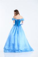 VASHEJIANG Deluxe Adult Cinderella Costume Women Fancy Dress Ball Gown Halloween Princess Costume Role Play Carnival Sexy Party