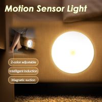 Motion Sensor Light USB Rechargeable Wireless Night Light Smart Wall-Mounted Body Induction Lamp Bedroom Hallway Closet Lighting Night Lights