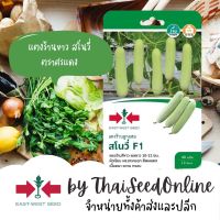 GGEW เมล็ดพันธุ์ แตงร้านสีขาวสโนวี่ 40 เมล็ด ตราศรแดง