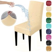 Waterproof Elastic Chair Cover Dining Room Solid Color Chair Slipcover Spandex Removable Chair Seat Cover for Kitchen Wedding