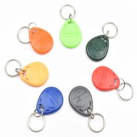 20ชิ้น/ล็อต125Khz RFID EM4100 TK4100กุญแจ Fobs แท็กเหรียญ Keyfobs พวงกุญแจบัตรประจำตัวอ่านเพียงควบคุมการเข้าออกการ์ด RFID