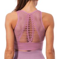 【ง่าย】สปอร์ตบราผู้หญิง Crop Top Activewear Women 39; S Sports Pink Top Women 39; S Bra Seamless Sports Bra Top Fitness Women Racerback