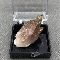 100 ธรรมชาติสีแดงแคลไซต์และ Chalcopyrite คริสตัลหยาบตัวอย่าง