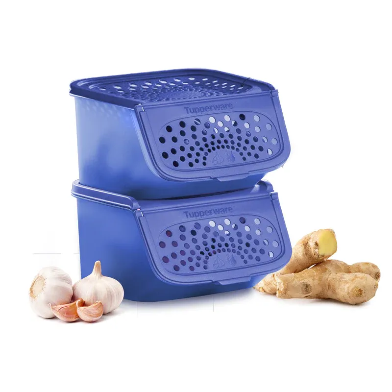 Garlic N All Keeper – Tupperware US